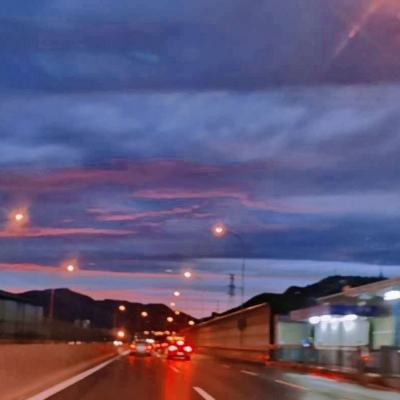守卫森林破解版下载
